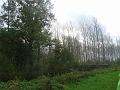 Wandeling 22-10-2017 (25)